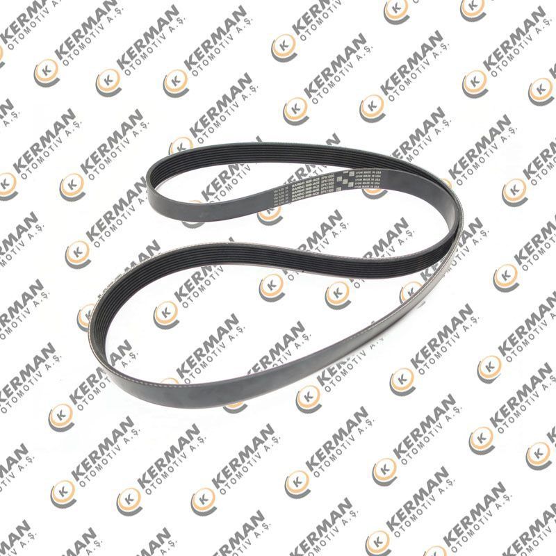DAF V-Ribbed Belt